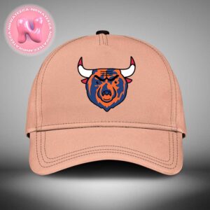 Chicago Bears And Chicago Bulls Combined NFL x NBA Logos Chicago Sport Teams Classic Cap Hat Snapback