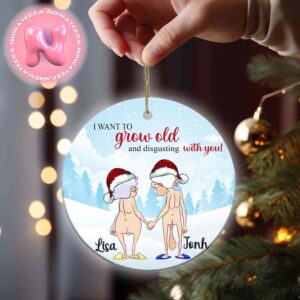 Funny Santa Couple I Want To Grow Old And Disgusting With Me Ornament Couple Christmas Tree Decorations Ornament