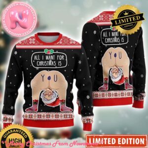 Hilarious Situations All I Want For Christmas Is You Ass Hole Ugly Christmas Sweaters