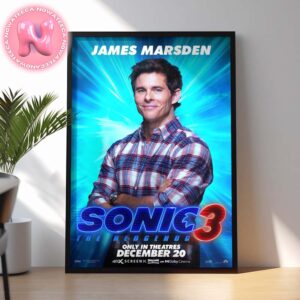 Sonic 3 The Hedgehog Tom Wachowski Character Poster Played By James Marsden Home Decor Poster Canvas