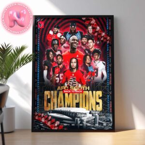 Houston Texans Wins The AFC South Champions Back To Back NFL Home Decor Poster Canvas